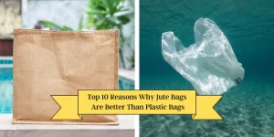 Top-10-Reasons-Why-Jute-Bags-Are-Better-Than-Plastic-Bags