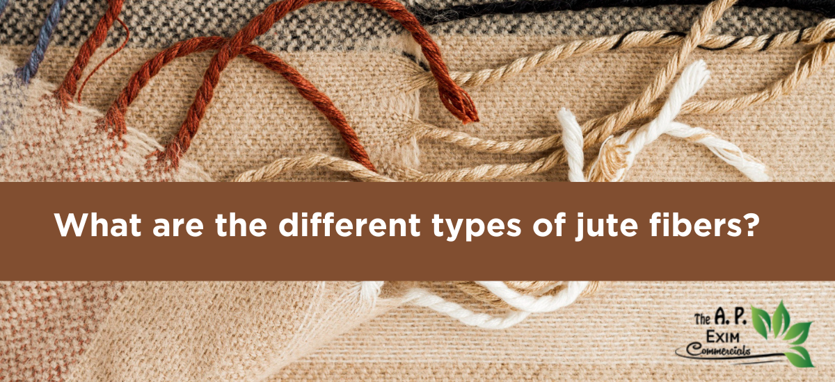 What are the different types of jute fibers?